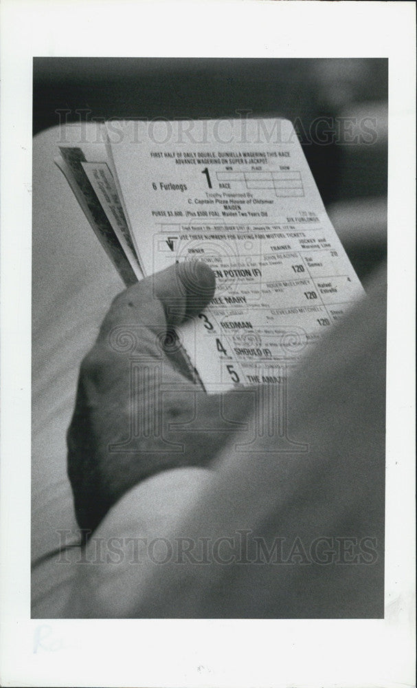 1984 Press Photo Fan checking racing form at Tampa Bay Downs - Historic Images