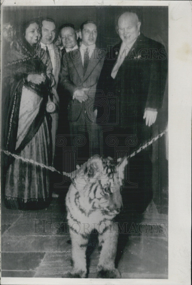 1960 Press Photo Soviet Premier Nikita Khrushchev Presented Tiger New Delhi - Historic Images