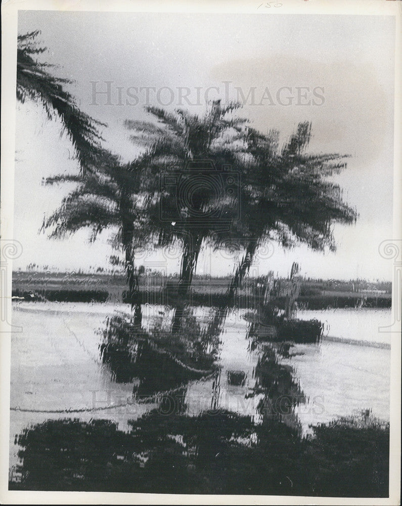 1968 Press Photo Blurry Image Stormy Hurricane Gladys Shot Distorted Rainy - Historic Images