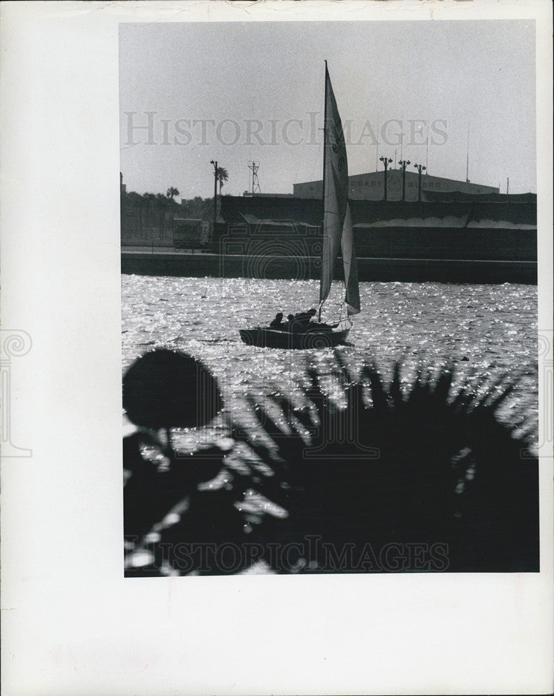 1978 Press Photo a sailboat in Bayboro Harbor in Florida - Historic Images