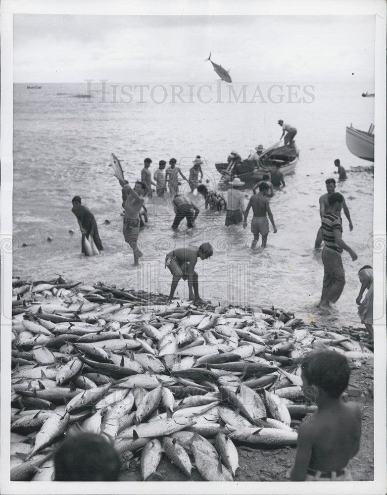 1956 Press Photo Fishing for the Bonita Fish in Pampatar, Venezuela - Historic Images