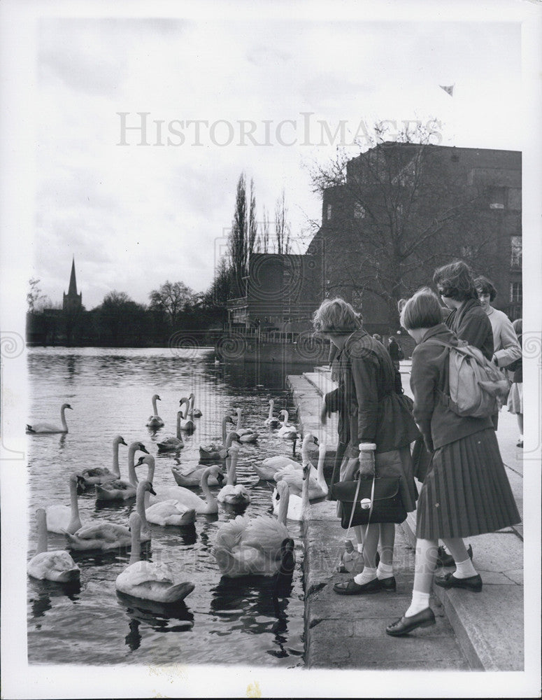 1959 Press Photo Children feeding swans Stratford on Avon England - Historic Images