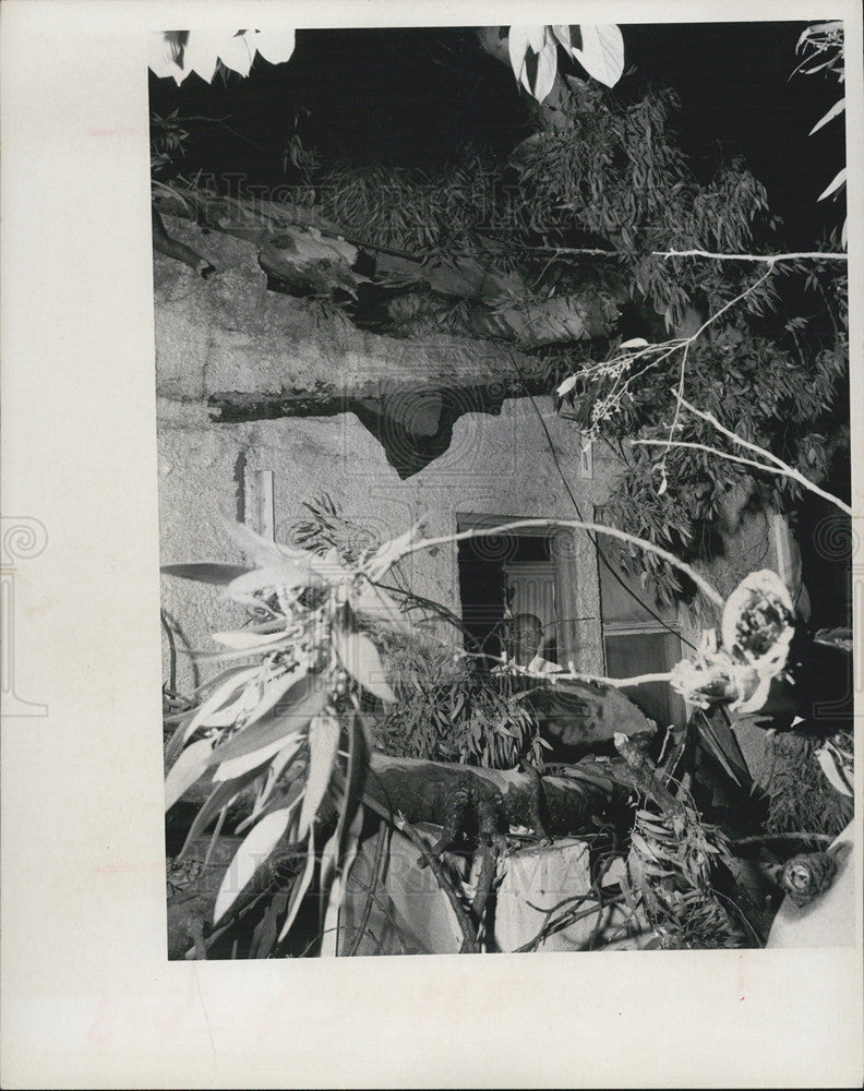 1969 Press Photo Ms. Dave James surveys damage of tree limb crushing porch - Historic Images