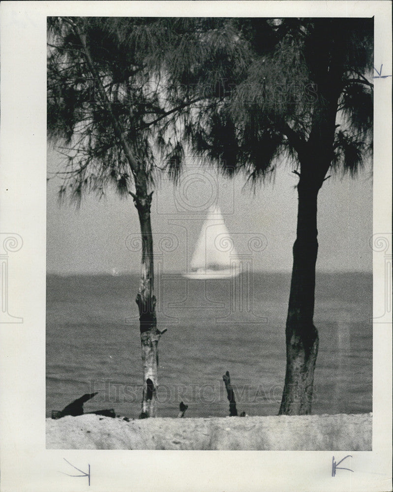 Press Photo St. Petersburg beach sailboat - Historic Images