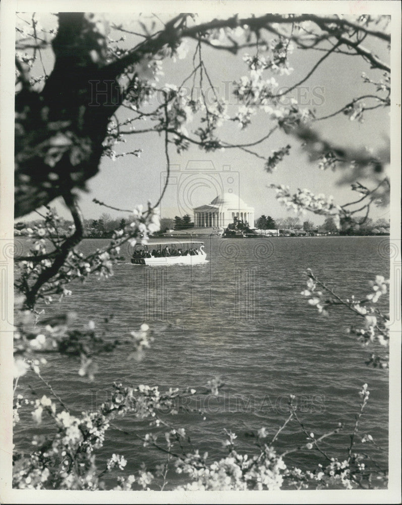 1968 Press Photo It is time for the Cherry Blossom Festival in Washington D.C. - Historic Images