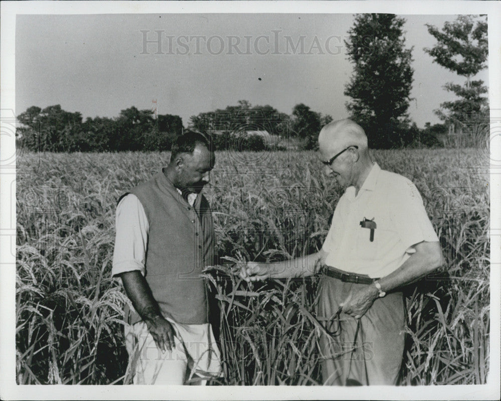 1966 Press Photo of Ed Bay,American Farm Adviser from Sangamon,illonois. - Historic Images