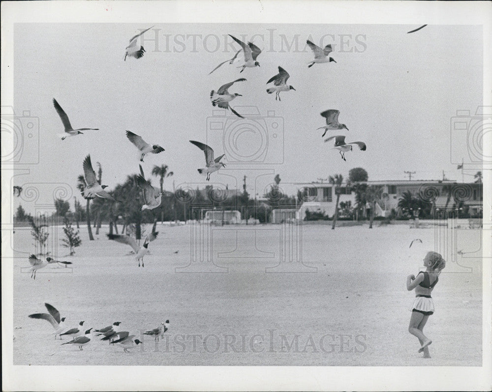 1966 Press Photo Beach birds girl - Historic Images