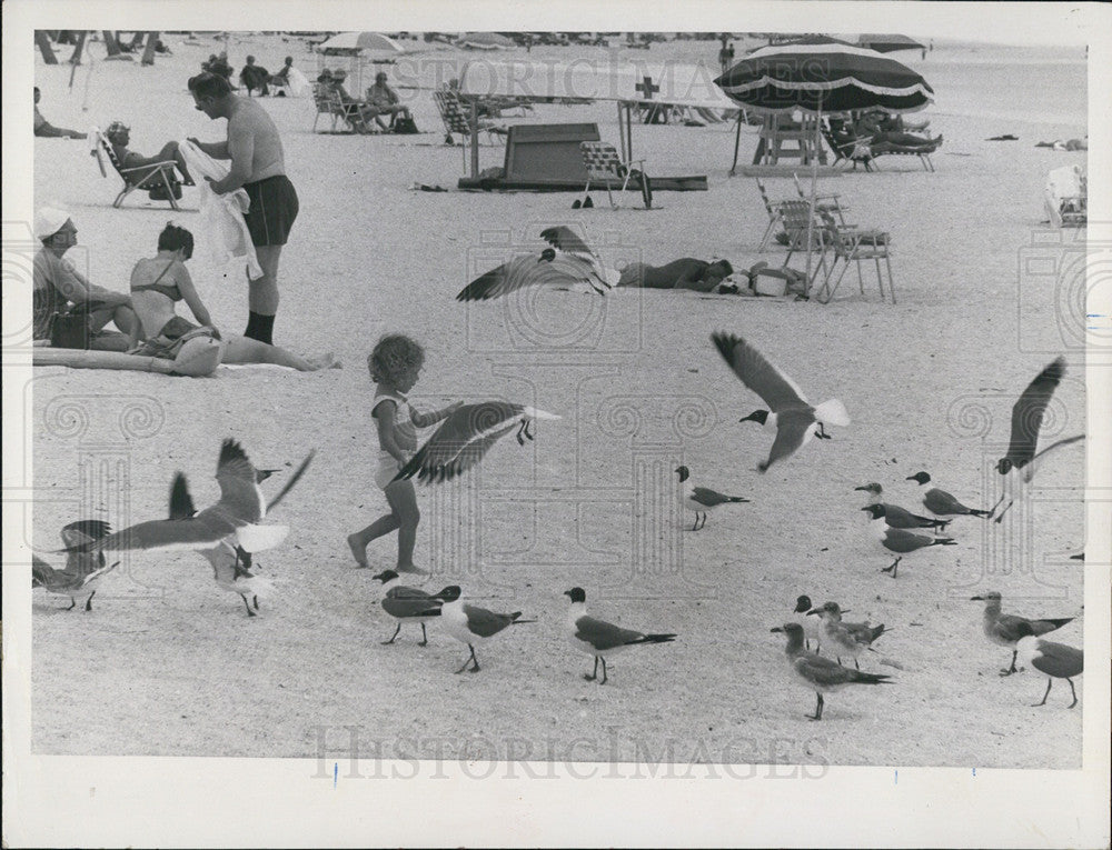 1969 Press Photo Mia Masgai Municipal Beach gulls St. Petersburg - Historic Images