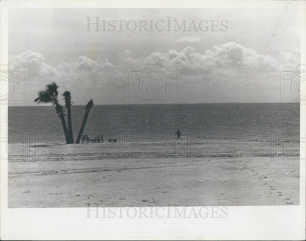 Undated Press Photo Lone Man Walking Into Water Off Deserted Beach - Historic Images