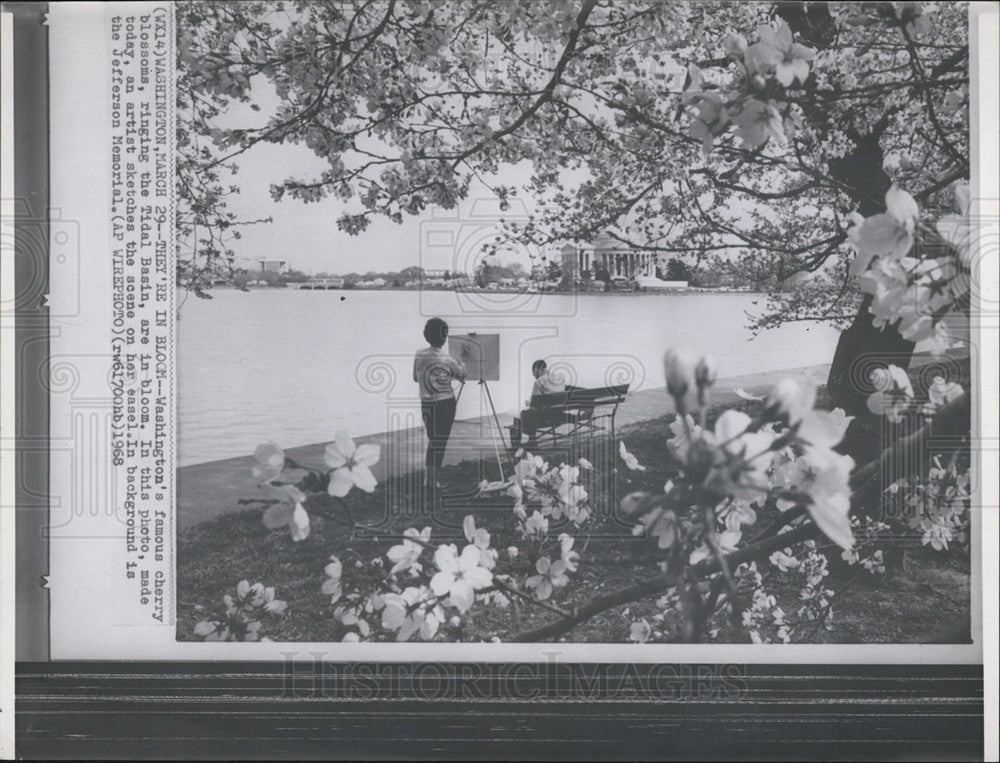 1968 Press Photo Cherry Blossoms In DC With Jefferson Memorial In Background - Historic Images