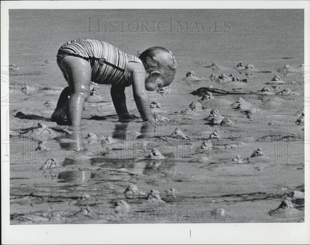 1984 Press Photo Northshore Park, St Petersburg, Bridget Hammel - Historic Images