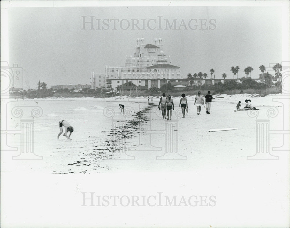 1967 Press Photo Tourists Enjoy Pass-a-Grille Beach in Florida - Historic Images