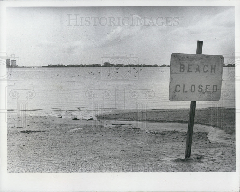 1983 Press Photo Gulfport Municipal Beach, Sewage Overflow, Boca Ciega Bay - Historic Images