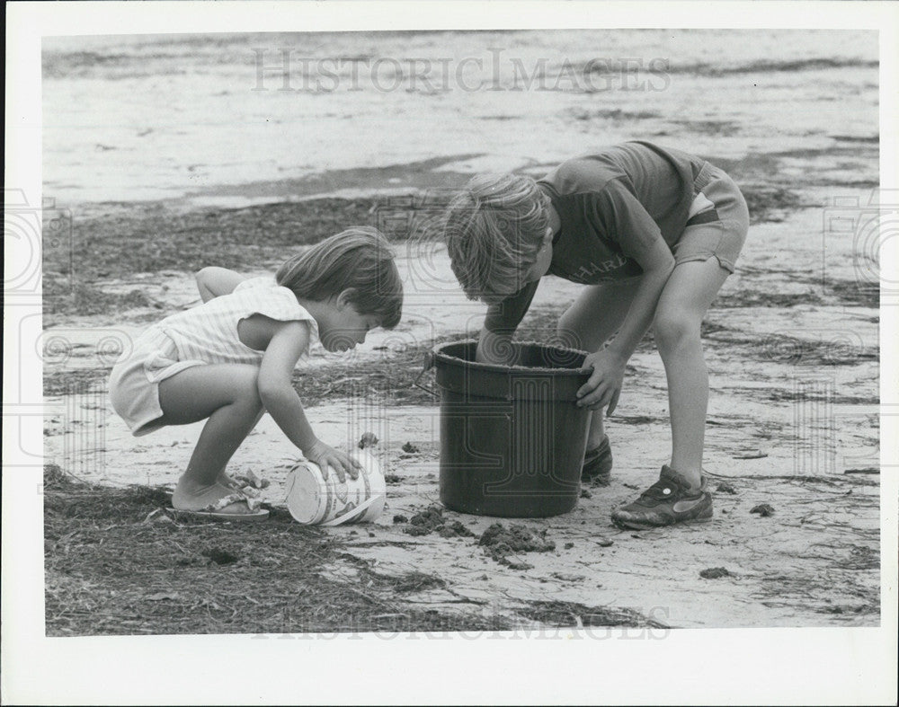 1985 Press Photo Amy Elizabeth Matt Hock Fiddler Crabs Science Study Danedin - Historic Images