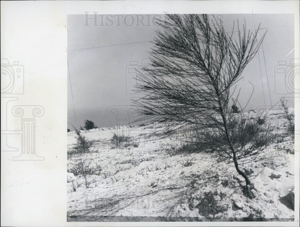 1971 Press Photo Holmes Beach Board Of Alderman Approved Condo Construction - Historic Images