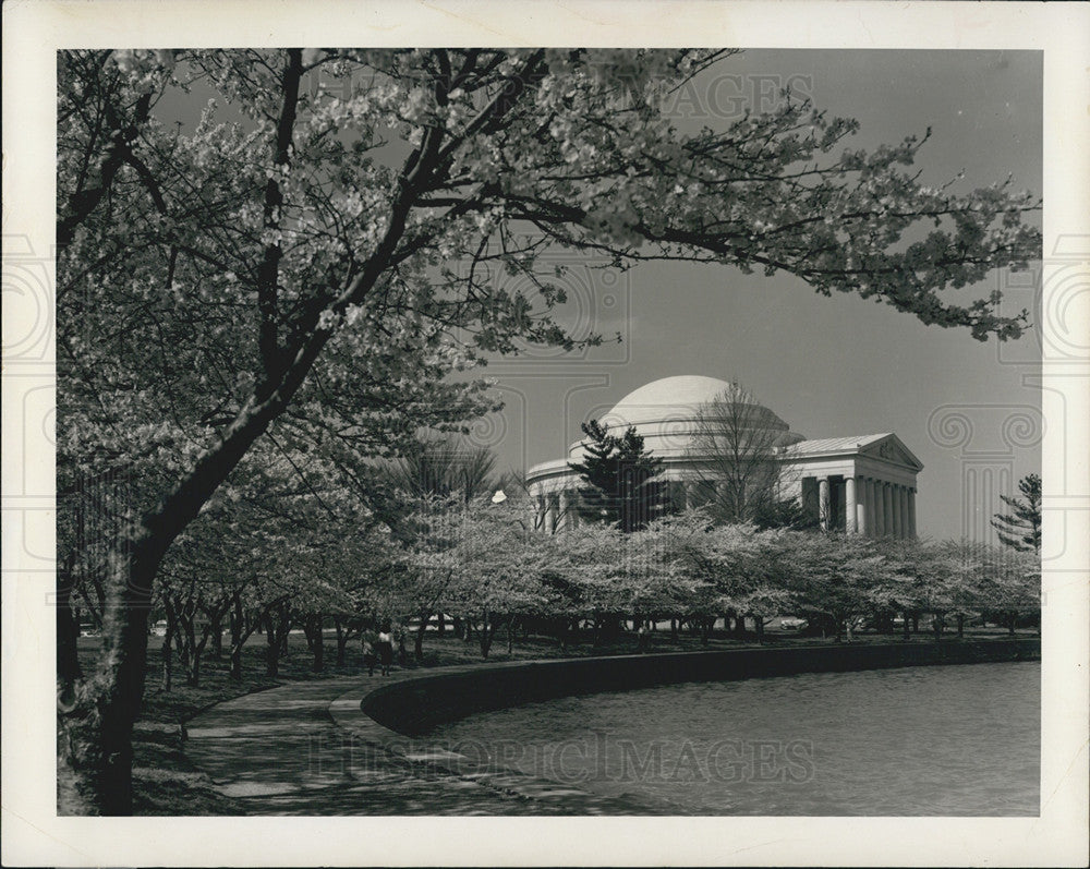 1965 Press Photo Jefferson Memorial, Tidal Basin, Cherry Blossoms, Washington DC - Historic Images