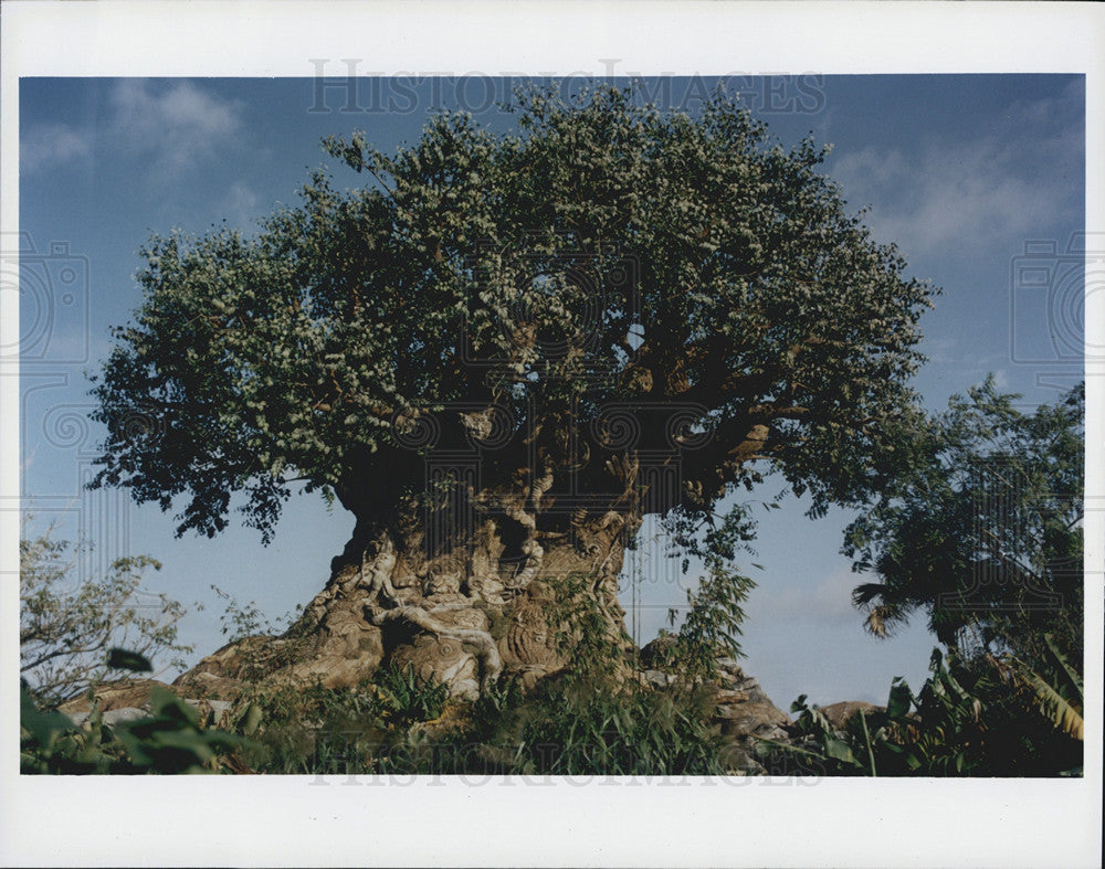 1998 Press Photo Tree of Life, Animal Kingdon, Lake Buena Vista, Florida - Historic Images