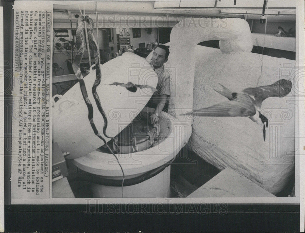 1970 Press Photo Rolland O Hower, Chief Exhibits Rearch, Smithsonian Institute - Historic Images