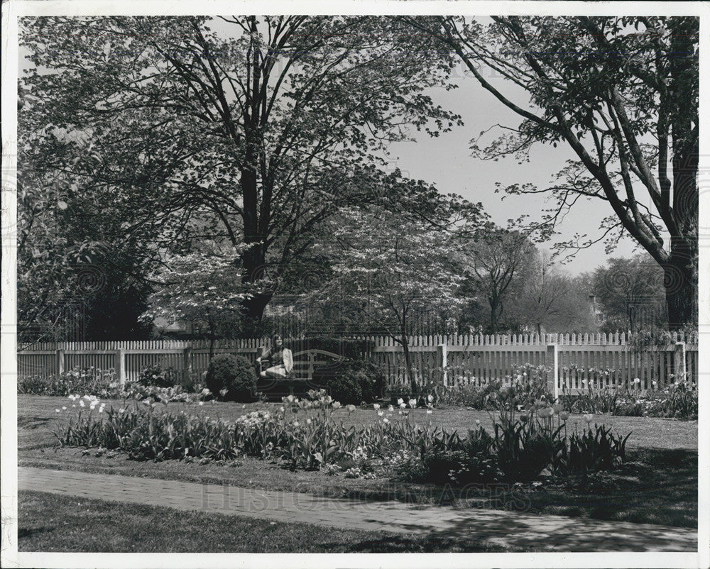 1983 Press Photo Colonial Williamsburg Garden - Historic Images