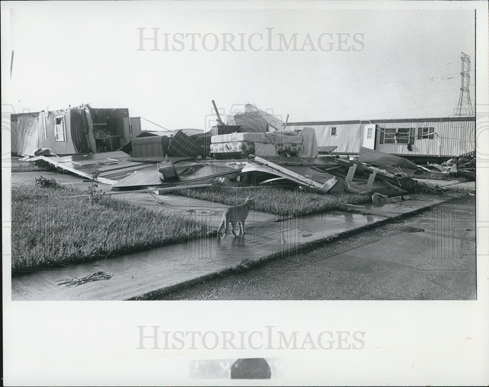 1976 Press Photo Storm Damage, Tornado, Pinellas County - Historic Images