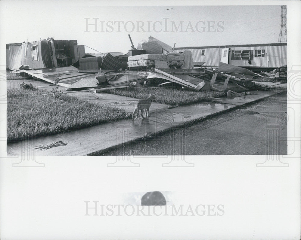 1976 Press Photo Storm Damage Left by Killer Tornado, Largo, Florida - Historic Images