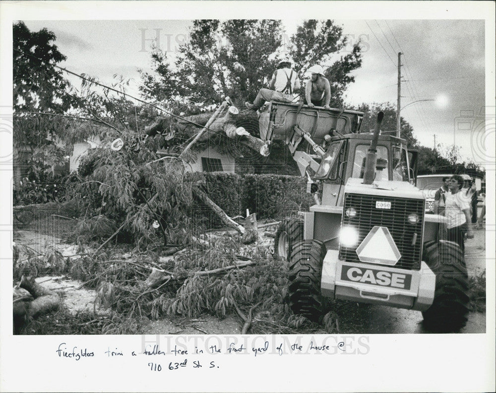 1986 Press Photo Firefighters Clear Fallen Tree/Wind Damage/Gulfport Florida - Historic Images