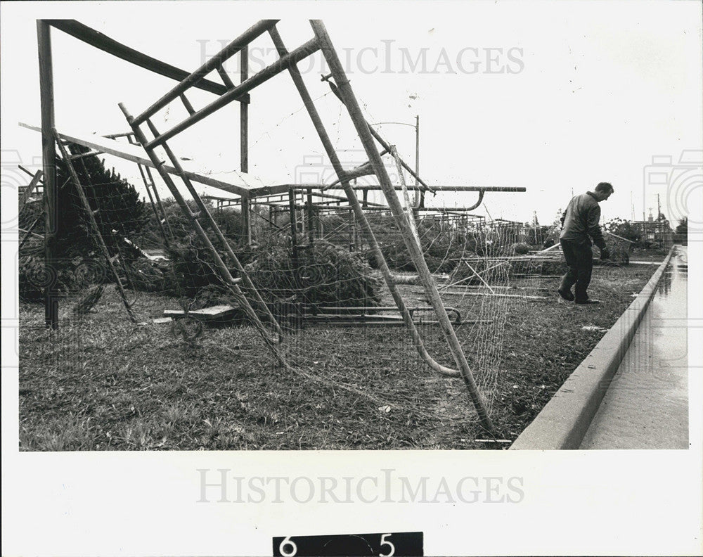 1981 Press Photo St Petersburg Tornado Destroyed Christmas Tree Stand - Historic Images