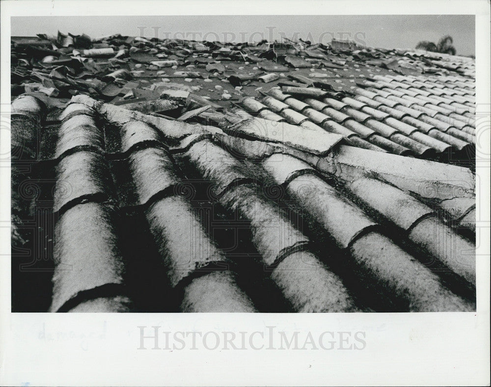 1982 Press Photo Homes in Oldsmar, FL damaged by storms and tornados. - Historic Images