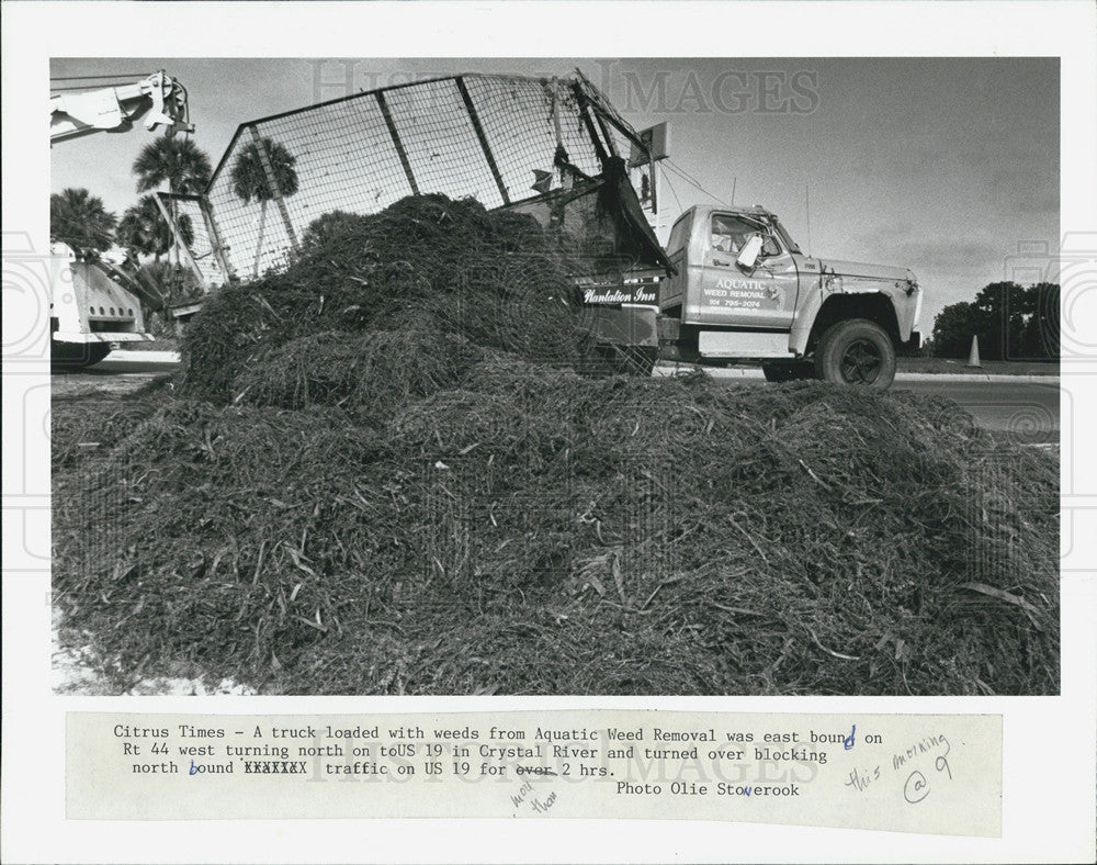 1989 Press Photo Truck Loaded With Weeds From Aquatic Weed Removal Wrecked - Historic Images