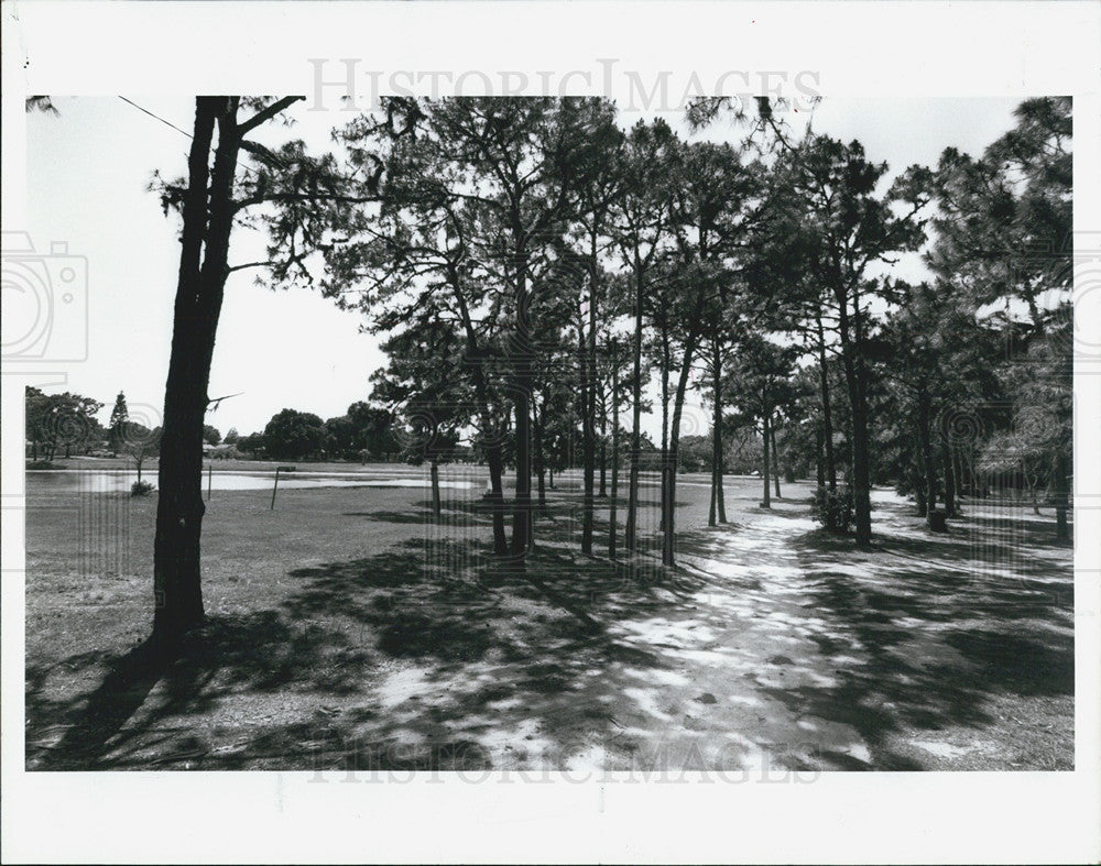 1990 Press Photo Trees Surrounding Mystic Lake St Petersburg - Historic Images