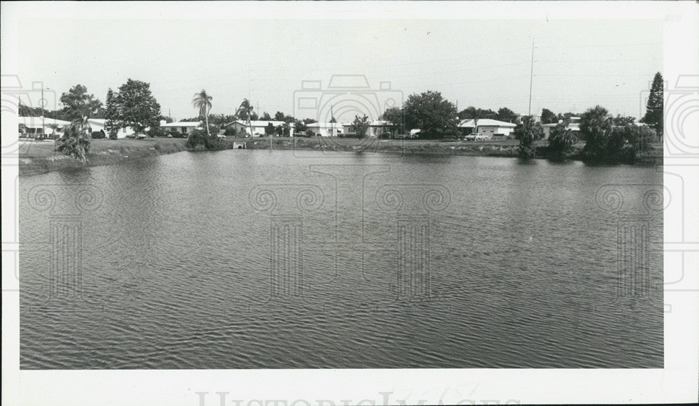 1982 Press Photo Litter And Cruelty To Ducks At Sunhaven Lake Wards Off Fishermn - Historic Images