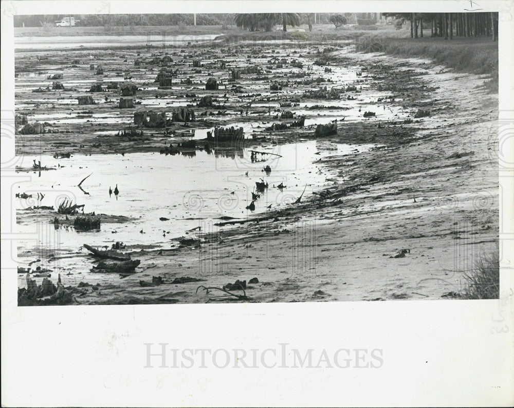 1979 Press Photo Taylor Lake In Largo, FL. Temporarily Lowered - Historic Images