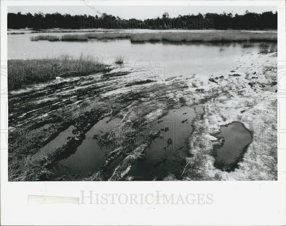 1989 Press Photo All-terrain vehicles cause damage to Tiger Lake. - Historic Images