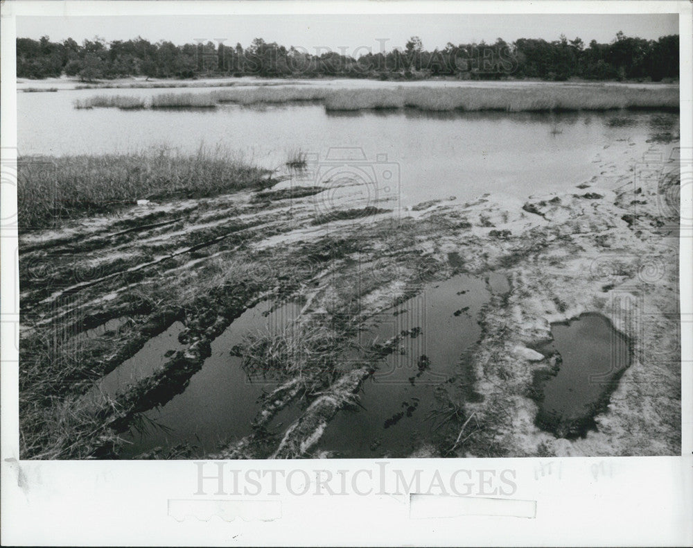 1989 Press Photo Tiger Lake Damage Done By Mudslingers Hernando County - Historic Images