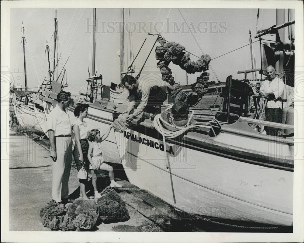 1964 Press Photo Tourist inspecting sponges from undersea fields - Historic Images