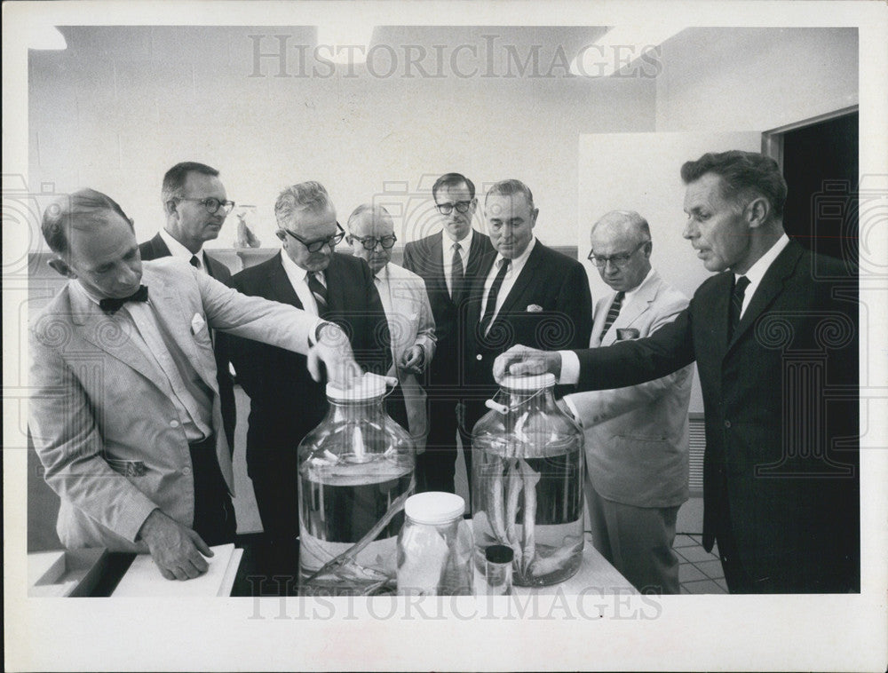 1968 Press Photo Fish Specimens Dr. Harold Humm Dr. Harris Stewart Carl Holm - Historic Images