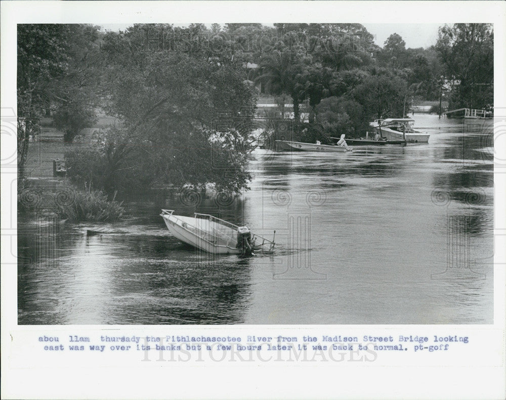 1987 Press Photo The Pithlachascotee River east of the Madison Bridge. - Historic Images