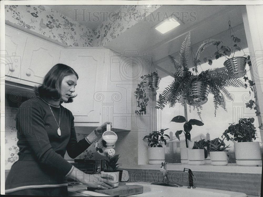 1975 Press Photo A Greenhouse Kitchen of Ingrid Berg. - Historic Images