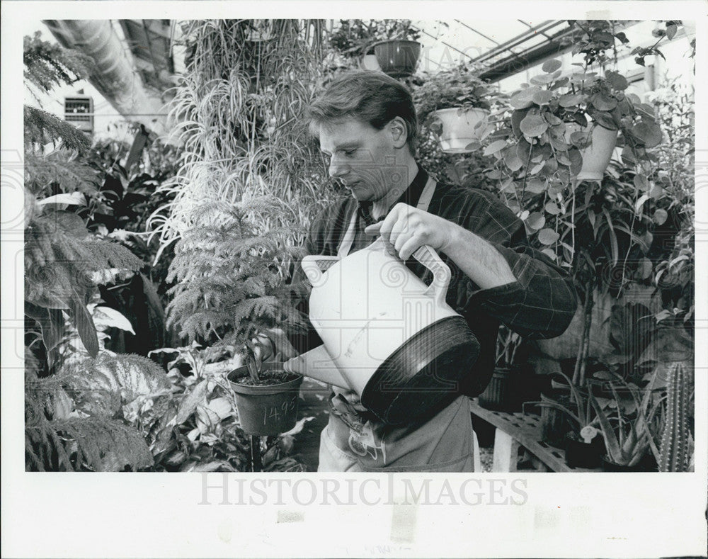 1992 Press Photo Earl Klebe Indoor Plants Village Green House Flowers Business - Historic Images