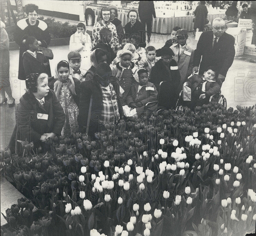 1966 Press Photo Chicago World Flower Garden Show McCormick Place tulip children - Historic Images