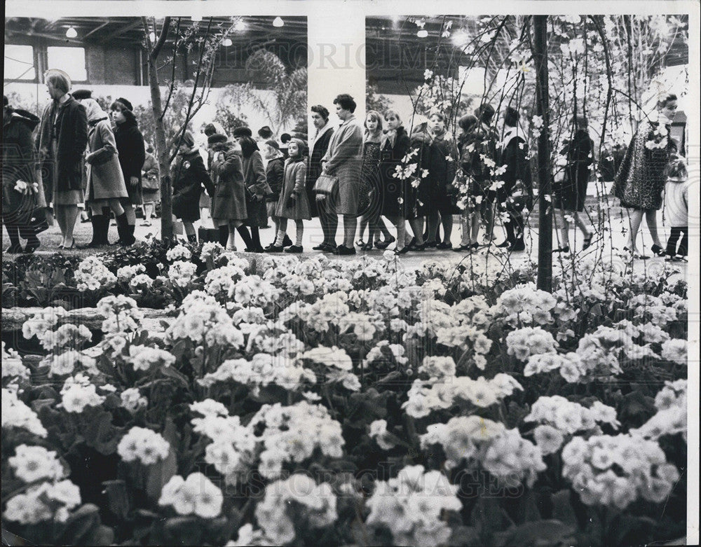 1967 Press Photo Chicago World Flower Garden Show International Amphitheatre - Historic Images