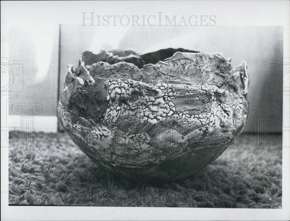 1980 Press Photo Clay by Char Vogel Anderson Marsh Galleries - Historic Images