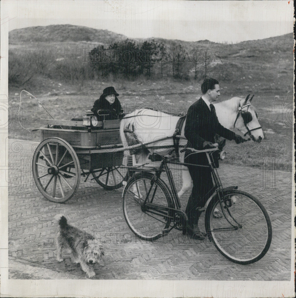 1957 Press Photo Ex Queen Wilhelmina in her pony cart, riding around her estate - Historic Images