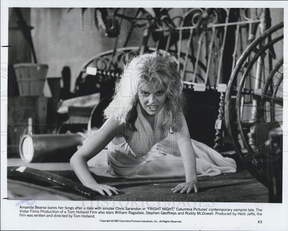 1985 Press Photo COPY Amanda Bearse Bears Her Fangs In Fright Night - Historic Images