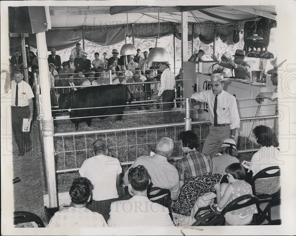 1961 Press Photo Cattle Auction La Wa Farm Lake Forest Illinois - Historic Images