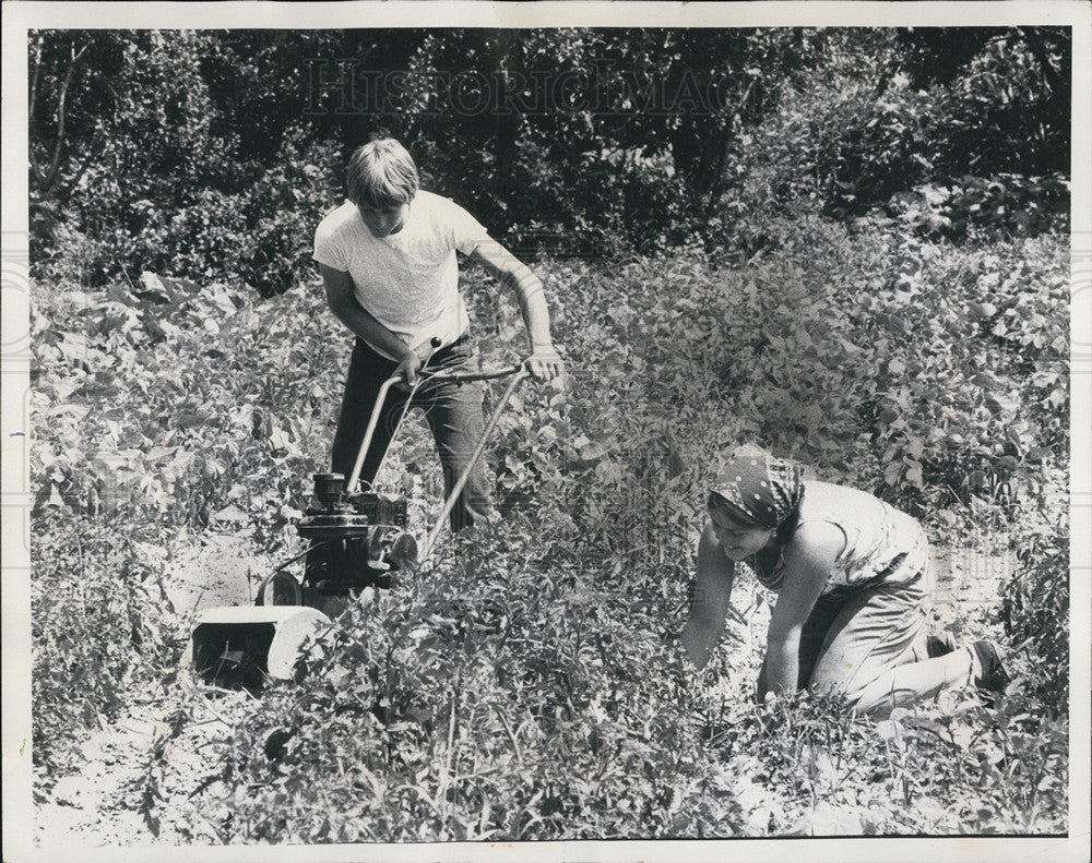 1975 Press Photo Teens David/Carrie Ellin Of Wauconda IL Farm Tomatoes To Sell - Historic Images