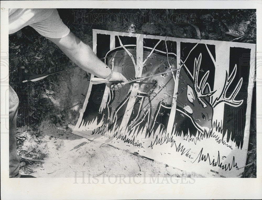 1973 Press Photo Bow Hunting Target - Historic Images