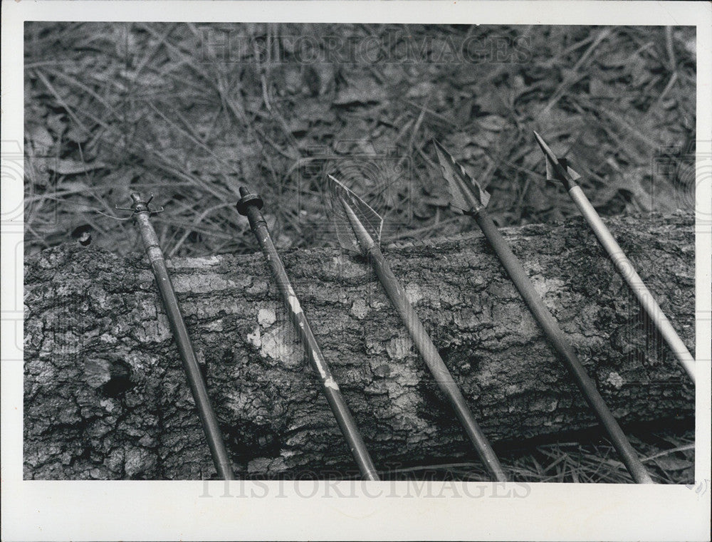 1973 Press Photo Bow Hunting, Arrows, Withlacoochee Forest, Florida - Historic Images