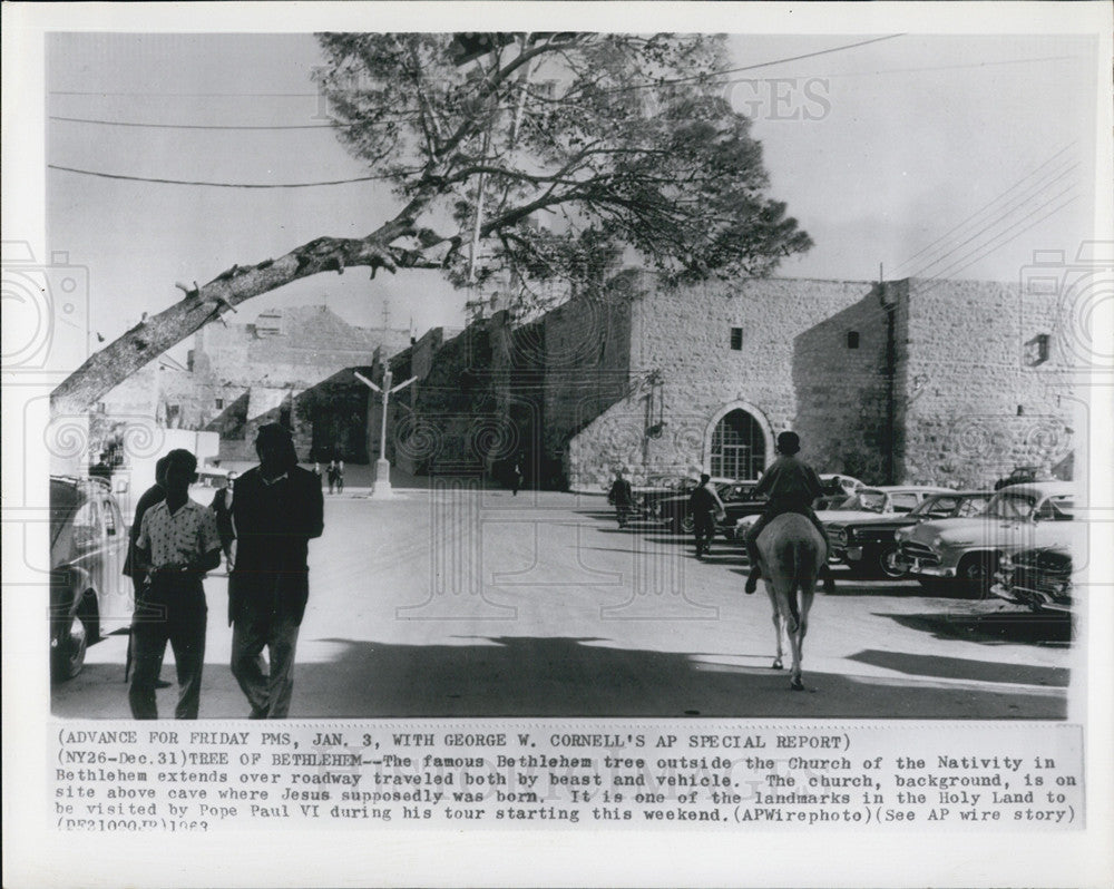 1963 Press Photo Famous Bethlehem Tree Outside Nativity Church, Bethlehem - Historic Images