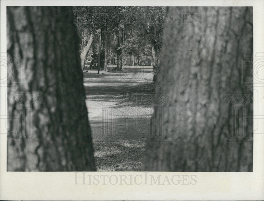 1974 Press Photo View West on Montana Avenue in New Port Richey Florida - Historic Images